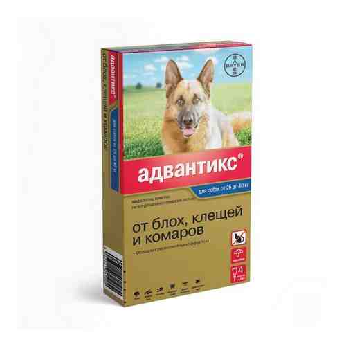 Адвантикс 400 капли на холку для собак 25-40кг 4,0млх4шт арт. 1571622