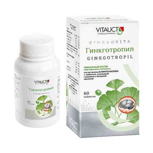 Гинкготропил Vitauct/Витаукт таблетки 0,65г 60шт арт. 1162181