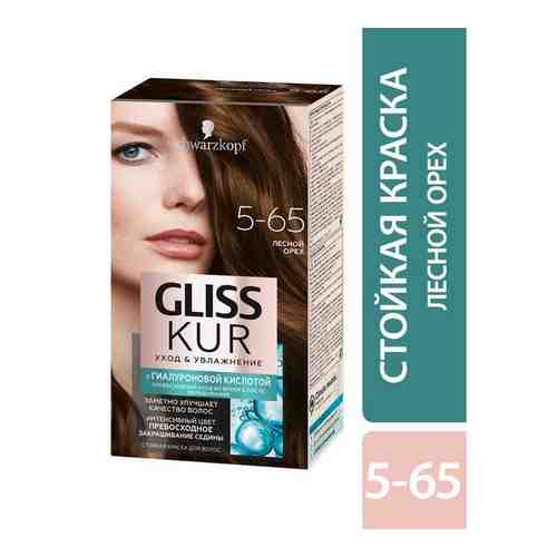 Краска для волос 5-65 лесной орех Gliss Kur/Глисс Кур 142,5мл арт. 1569546