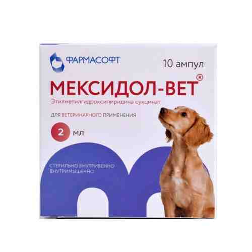 Мексидол-вет 5% раствор для инъекций для ветеринарного применения 2мл 10шт арт. 1574366