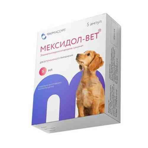 Мексидол-вет 5% раствор для инъекций для ветеринарного применения 5мл 5шт арт. 1574368