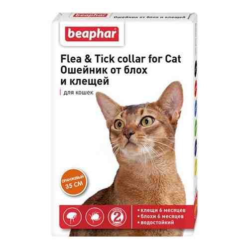 Ошейник для кошек от блох оранжевый Beaphar/Беафар 35см арт. 1606724