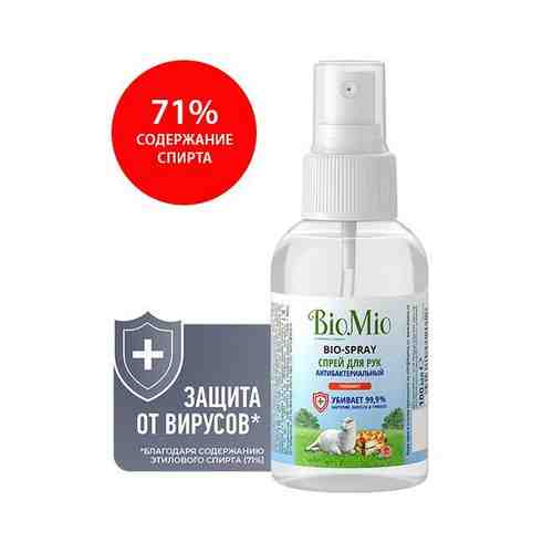 Спрей антисептик для рук гигиенический bio-spray BioMio/БиоМио 100мл арт. 1284650